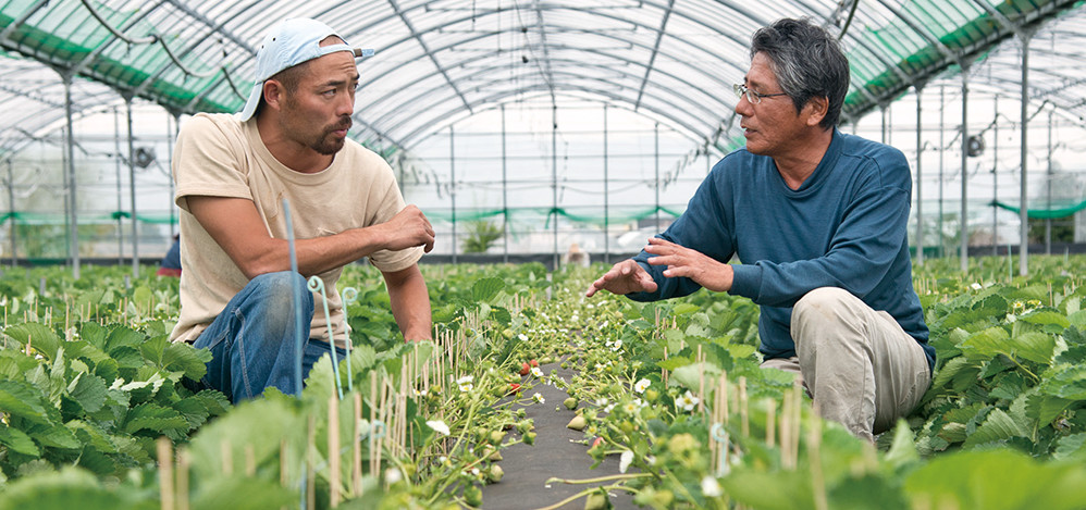 イチゴの栽培について真剣に話す入部さん(左)と石橋さん